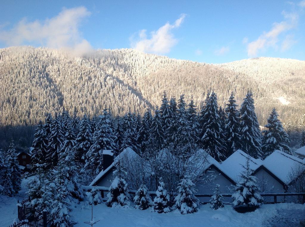 Villa Alpiyka สลาฟสเก ภายนอก รูปภาพ