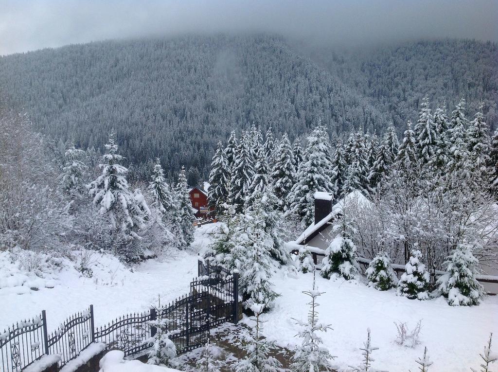 Villa Alpiyka สลาฟสเก ภายนอก รูปภาพ